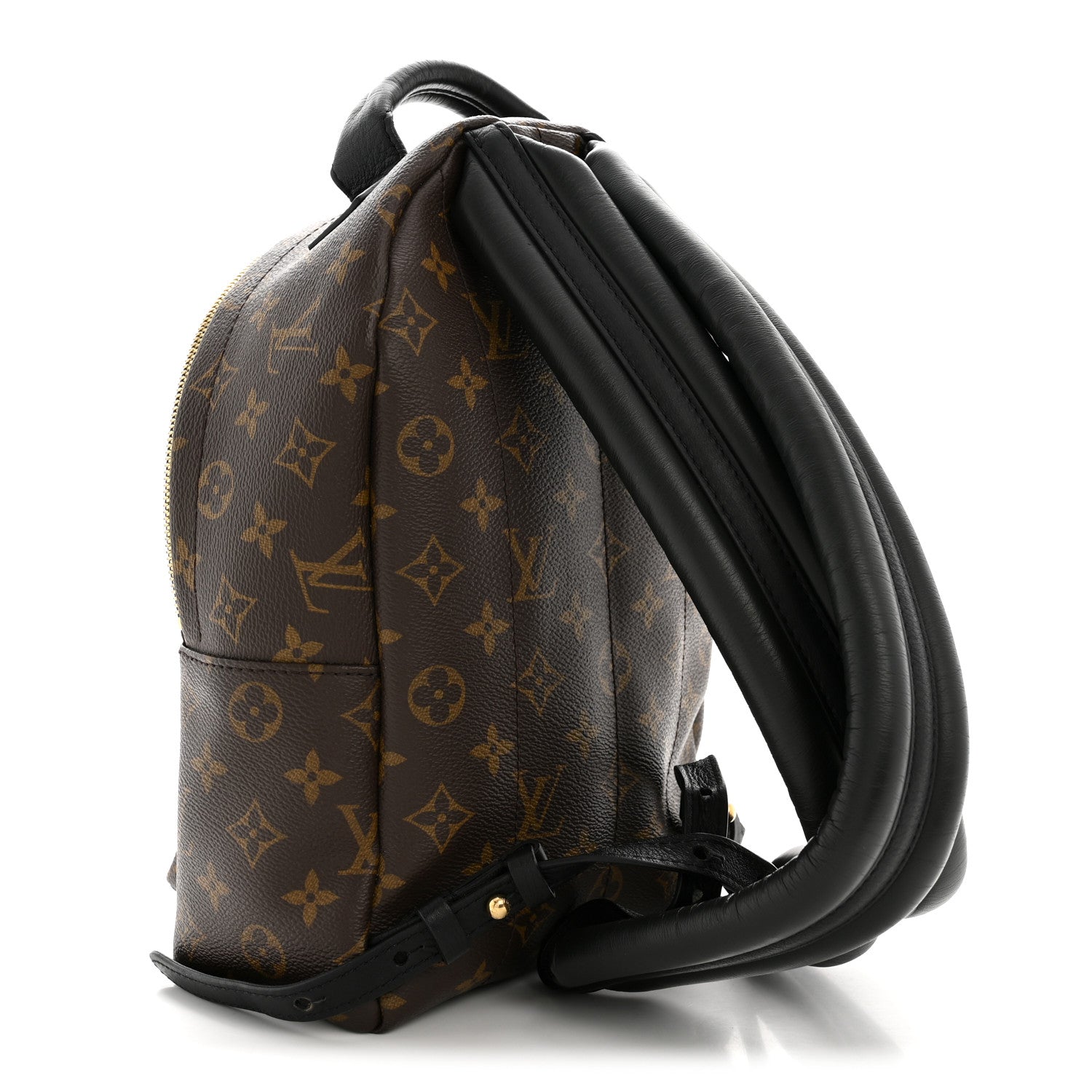 Louis Vuitton Monogram Palm Springs Backpack PM