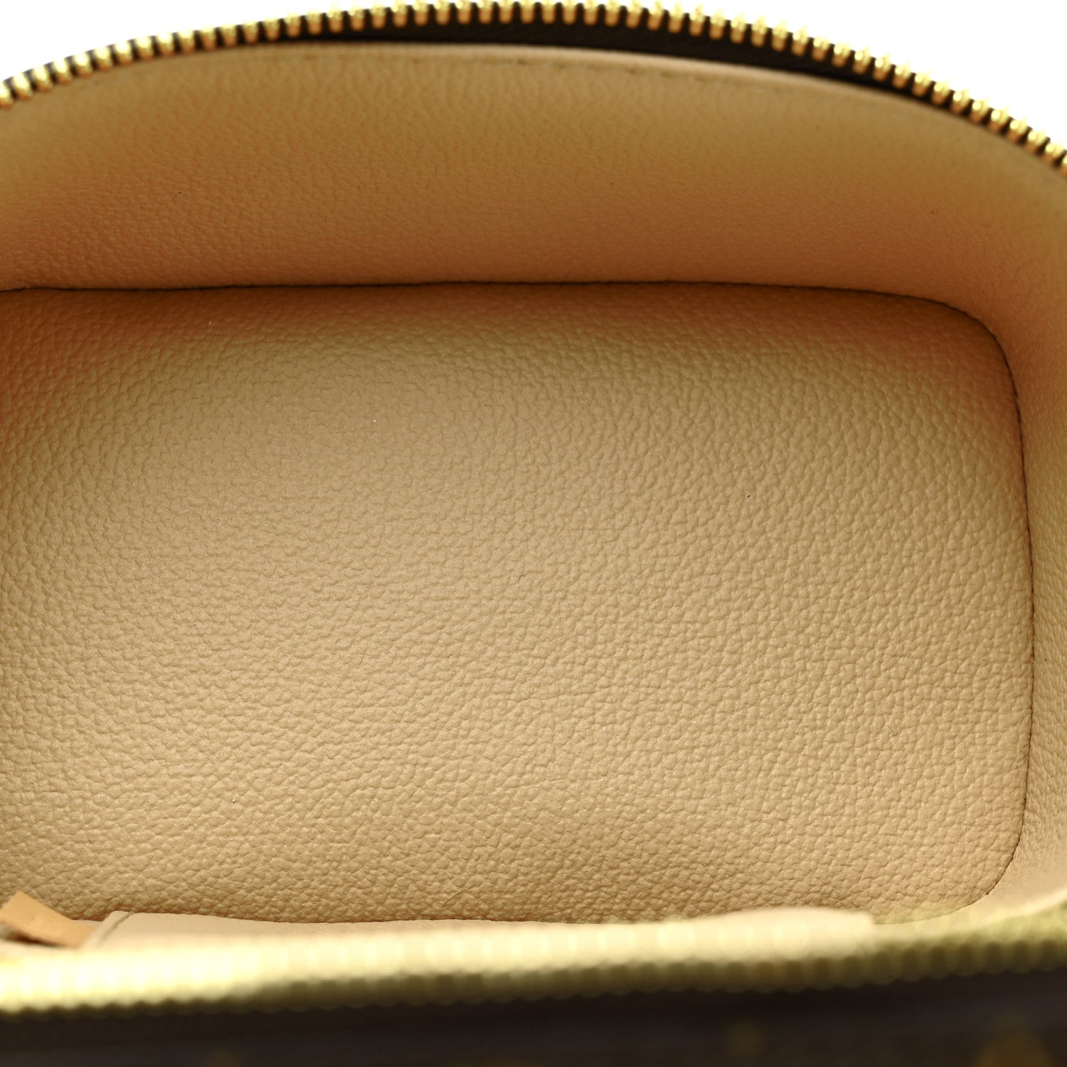 Louis Vuitton Monogram Nano Nice
