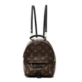 Louis Vuitton Monogram Palm Springs Backpack Mini