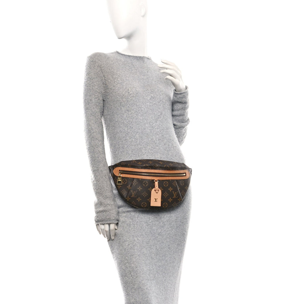 Louis Vuitton Monogram High Rise Bumbag