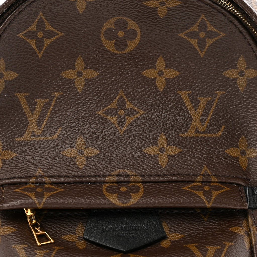 Louis Vuitton Monogram Palm Springs Backpack Mini