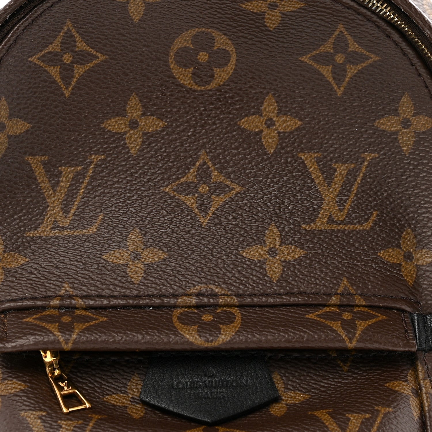 Louis Vuitton Monogram Palm Springs Backpack Mini