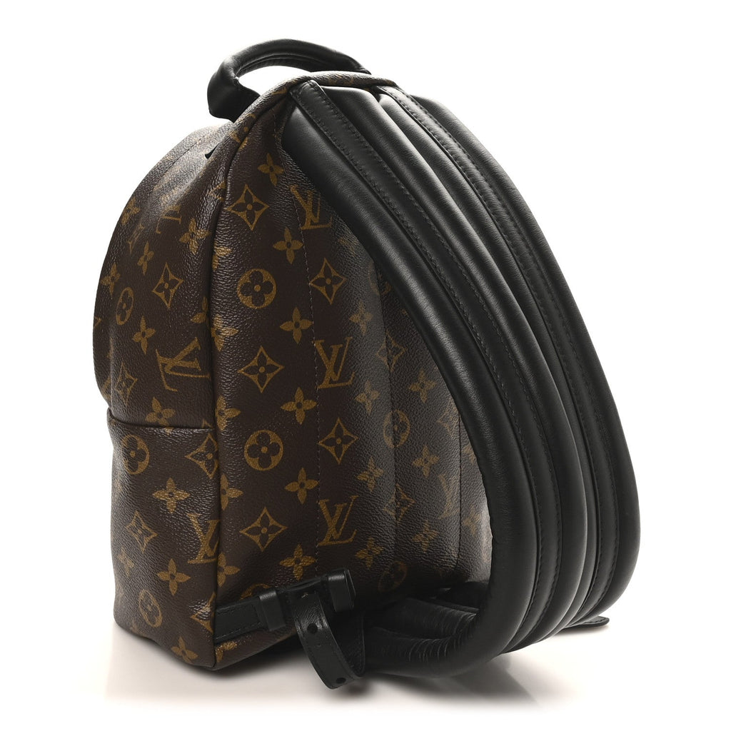 Louis Vuitton Reverse Monogram Palm Springs Backpack PM