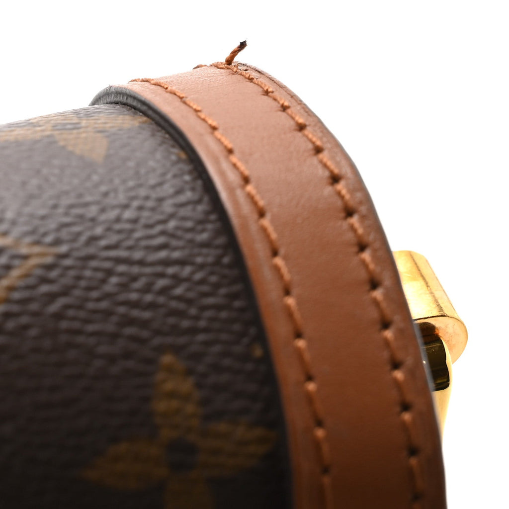 Louis Vuitton Reverse Monogram Dauphine MM
