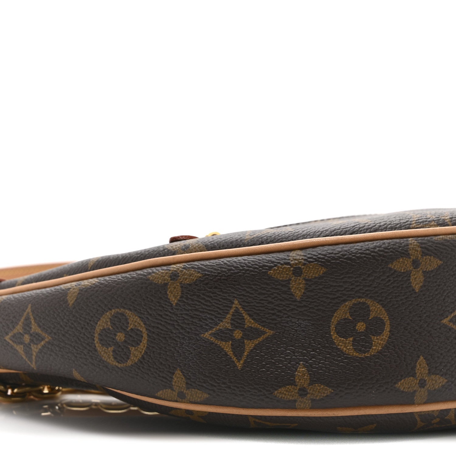 Louis Vuitton Monogram Loop