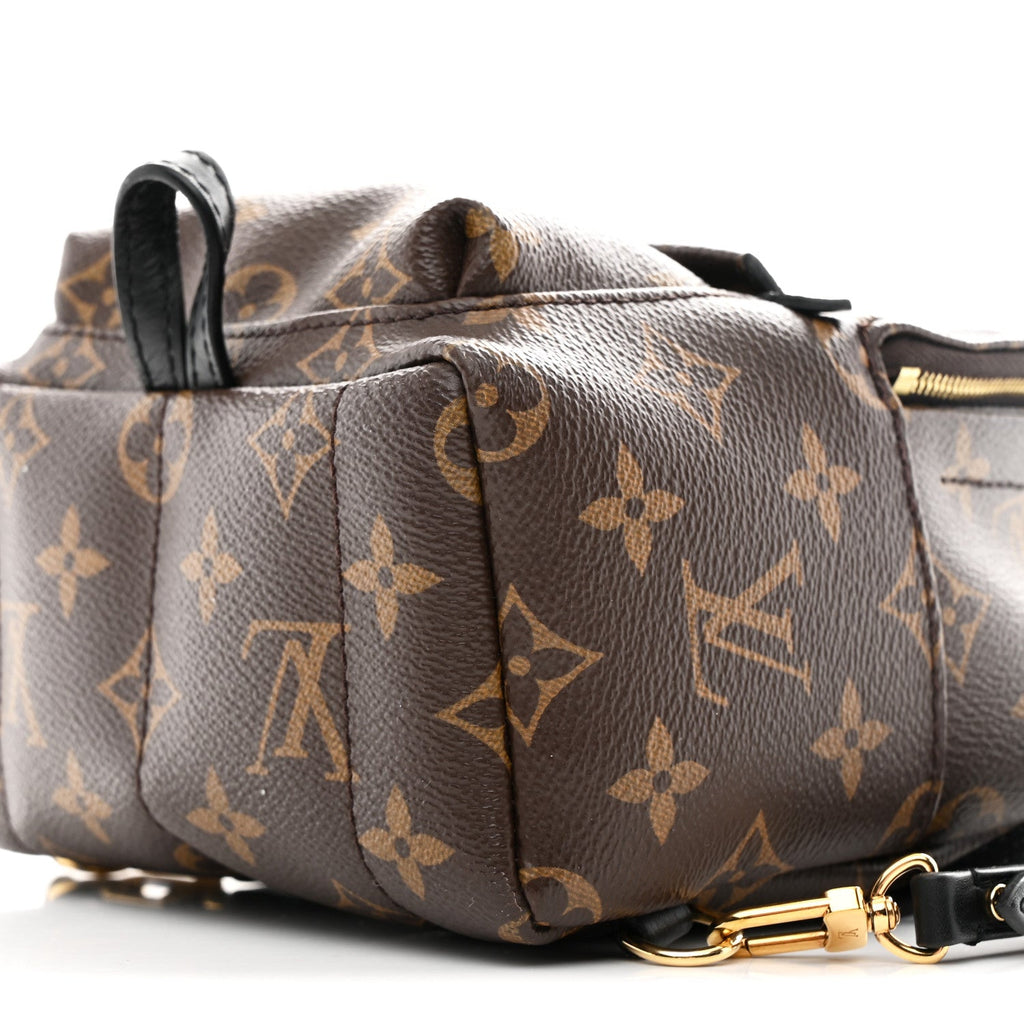 Louis Vuitton Monogram Palm Springs Backpack Mini