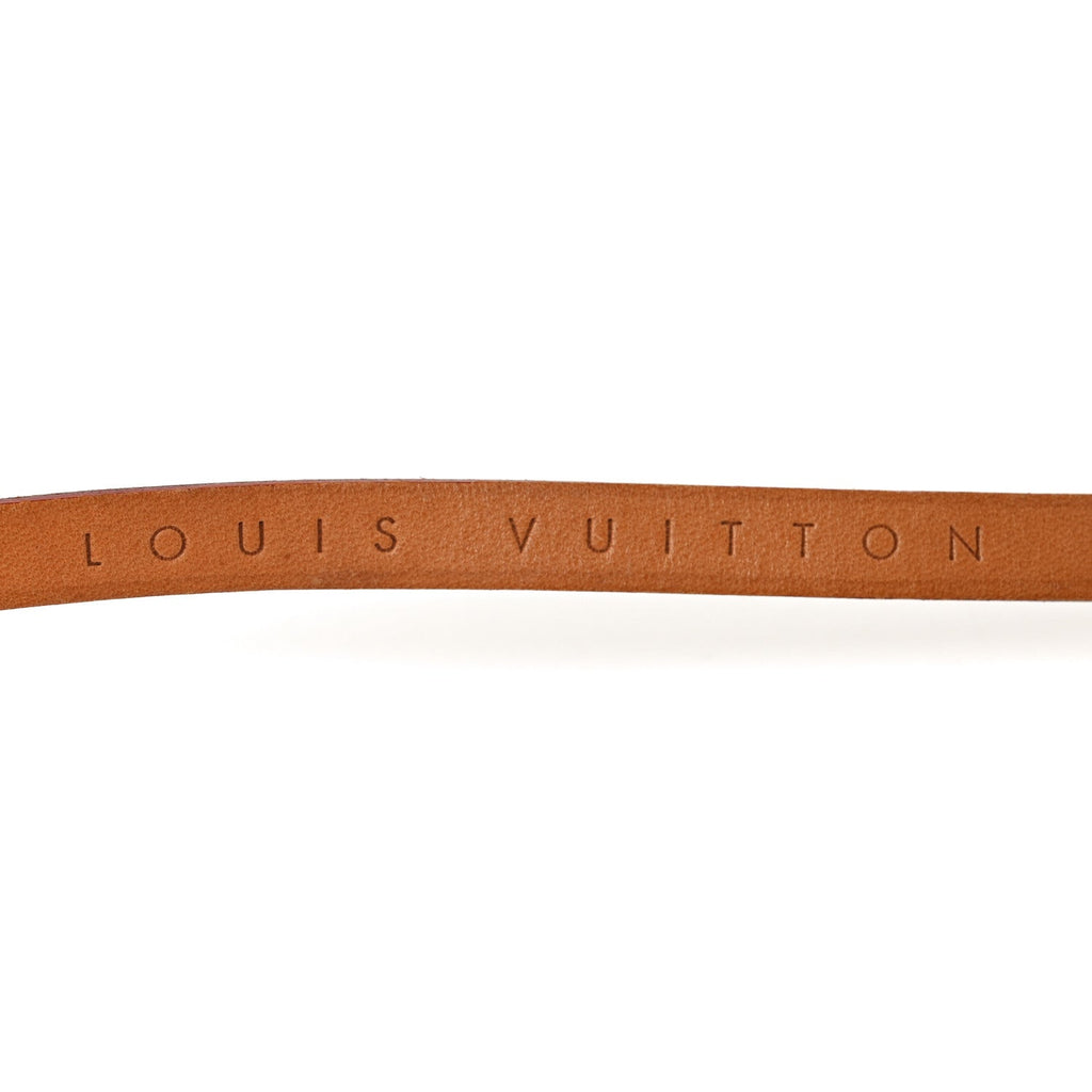 Louis Vuitton Monogram Pochette Florentine M
