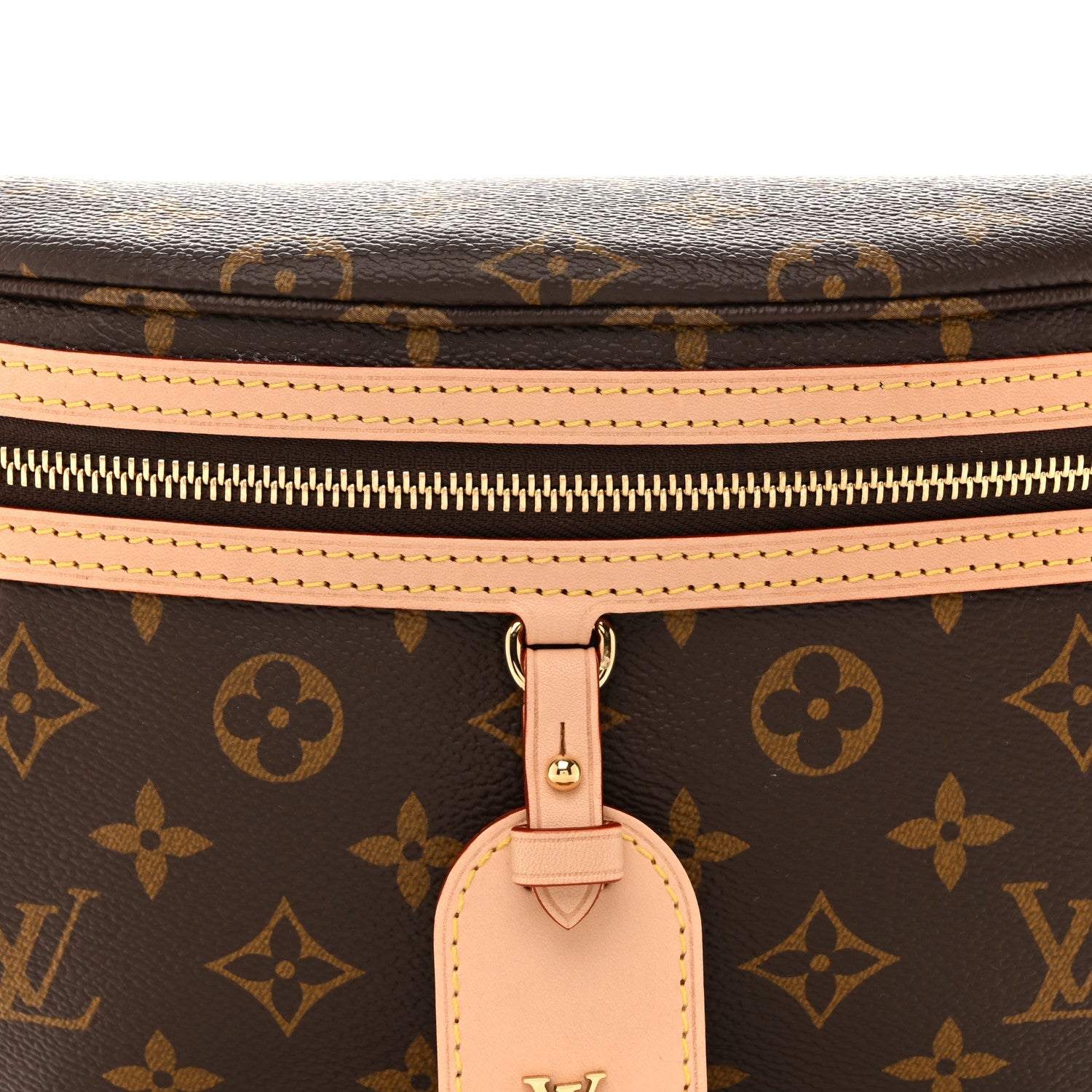 Louis Vuitton Monogram High Rise Bumbag