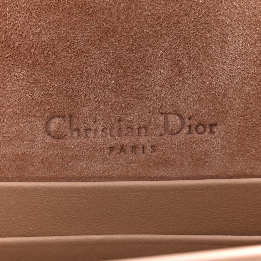 Christian Dior Ultra Matte Calfskin Belt Bag Fard