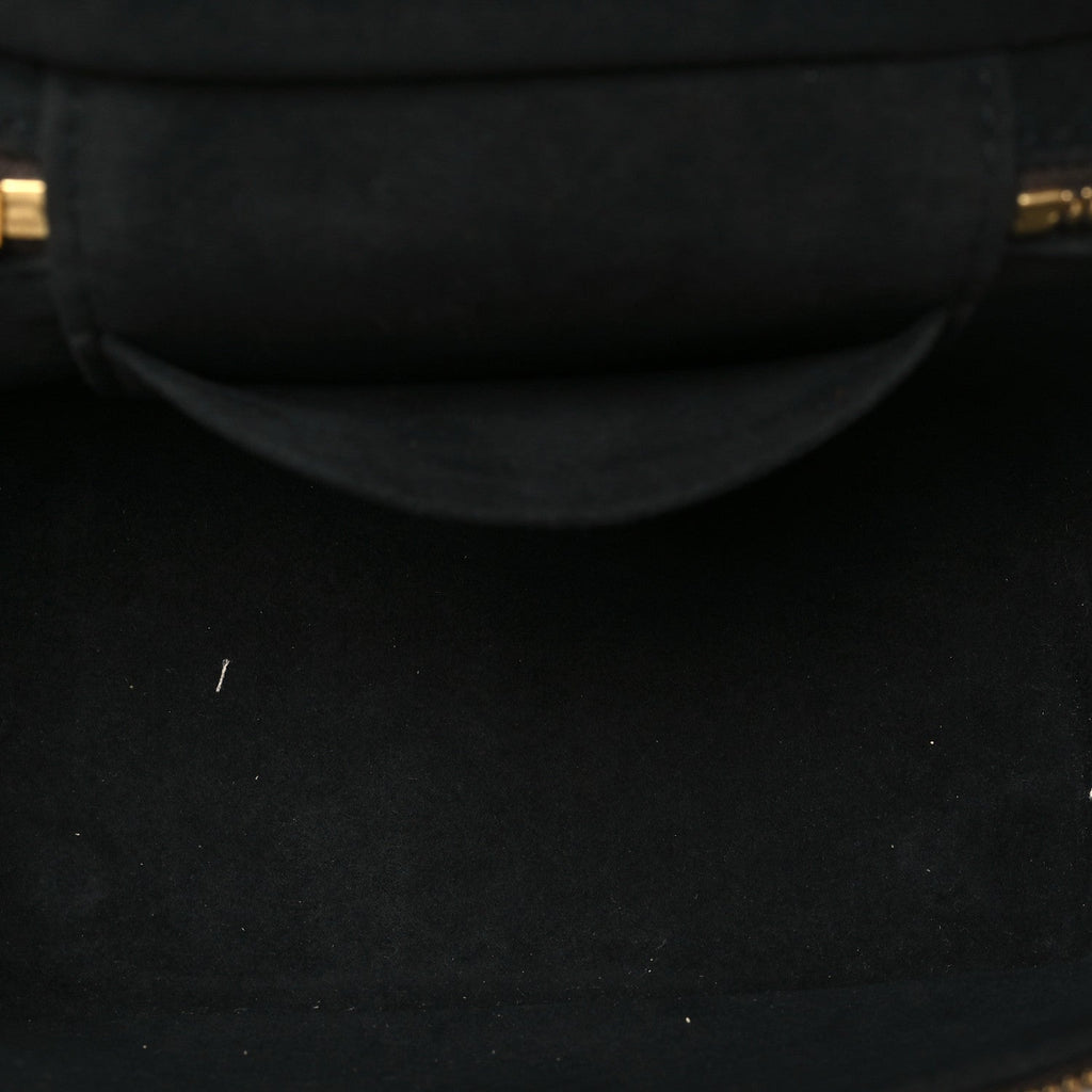 Louis Vuitton Reverse Monogram Vanity PM