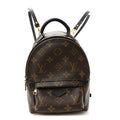 Louis Vuitton Monogram Palm Springs Backpack Mini