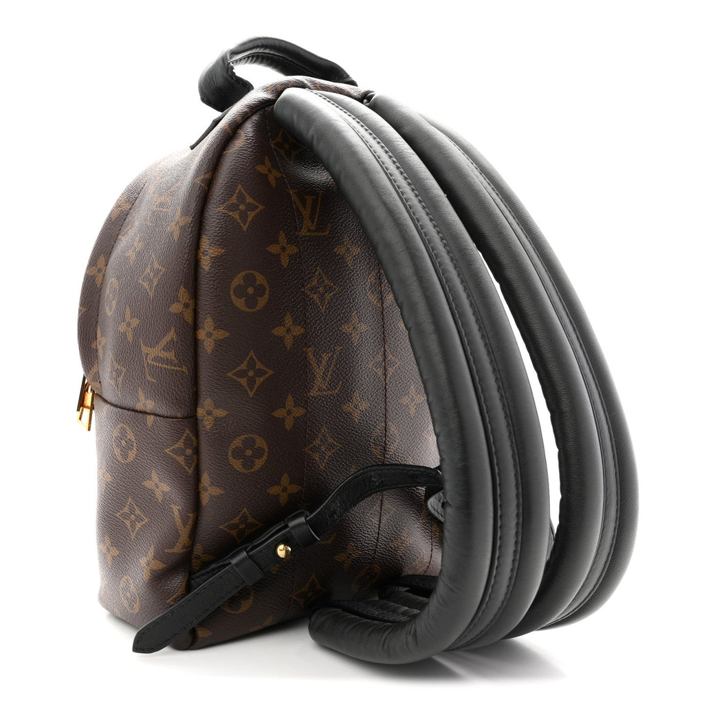 Louis Vuitton Monogram Palm Springs Backpack PM