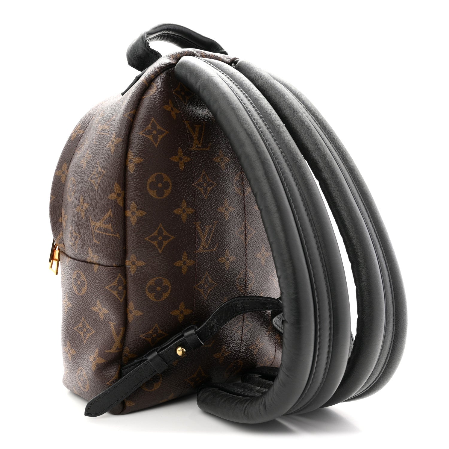 Louis Vuitton Monogram Palm Springs Backpack PM