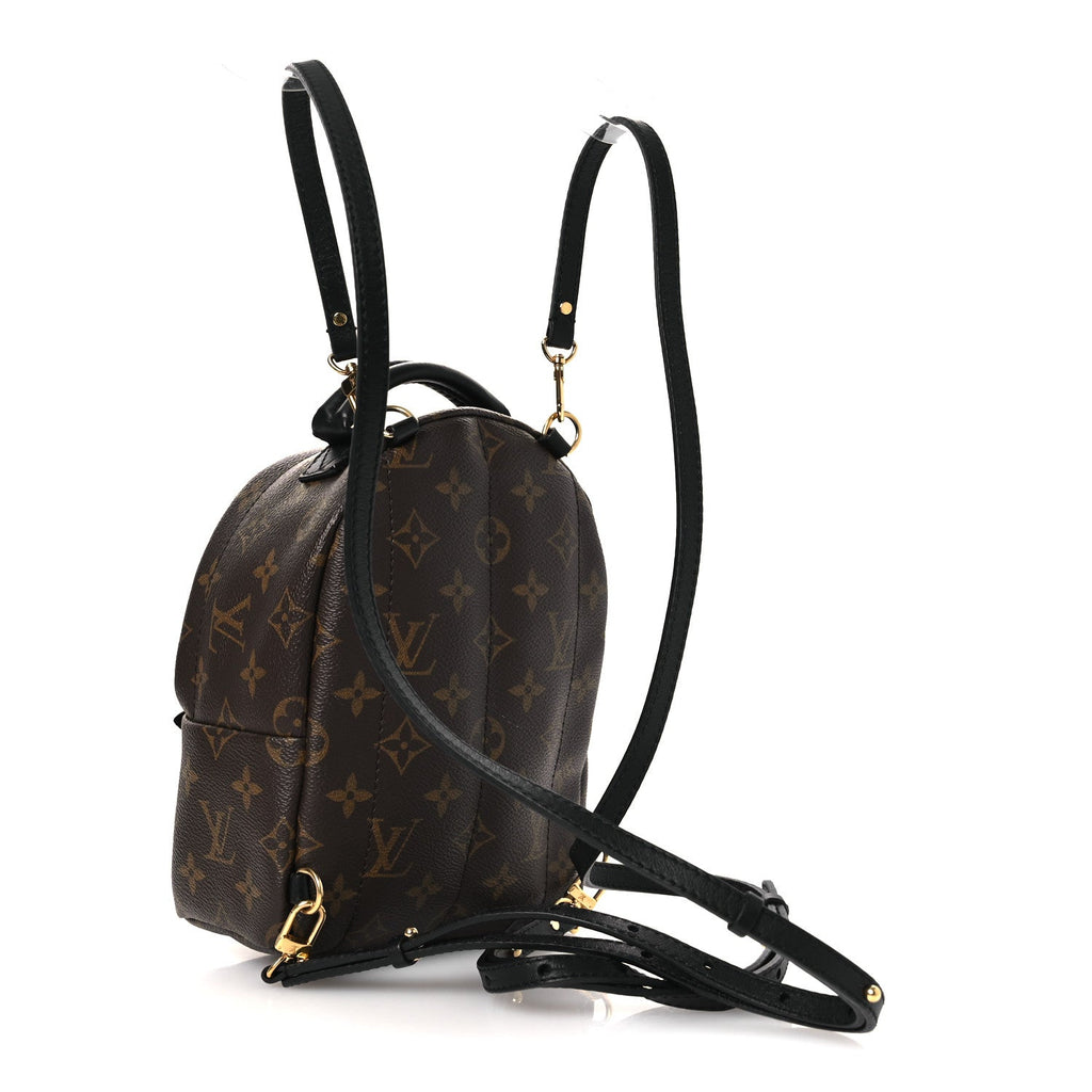 Louis Vuitton Monogram Palm Springs Backpack Mini