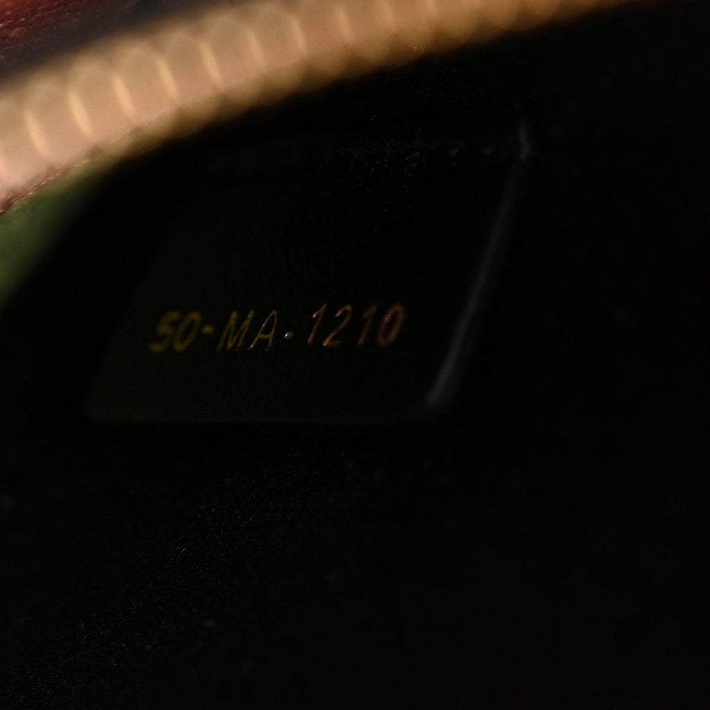 Christian Dior Canvas Embroidered In Lights Medium Lady D-Lite Multicolor