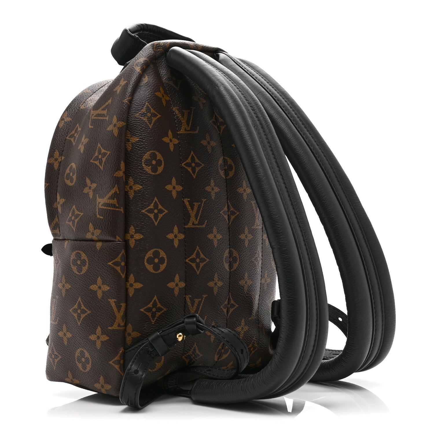 Louis Vuitton Monogram Palm Springs Backpack PM
