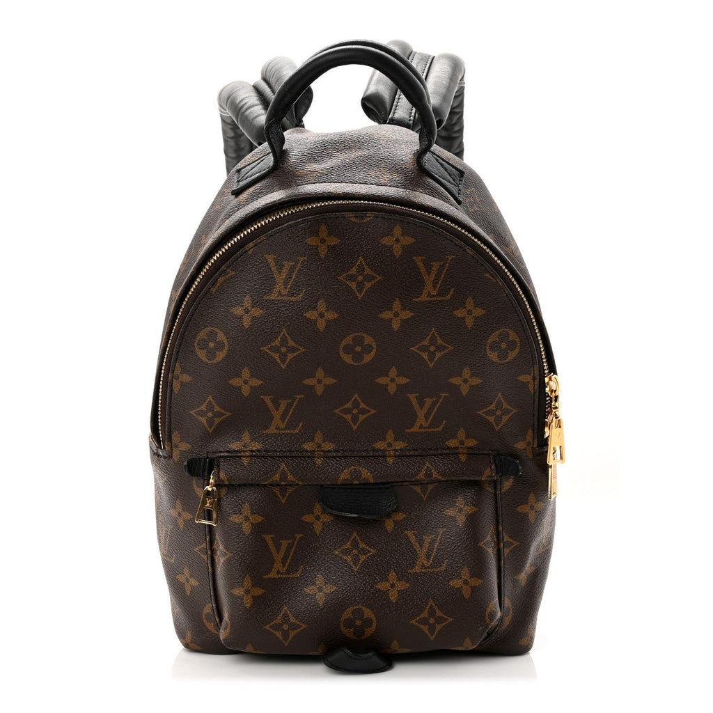 Louis Vuitton Monogram Palm Springs Backpack PM