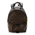 Louis Vuitton Monogram Palm Springs Backpack PM