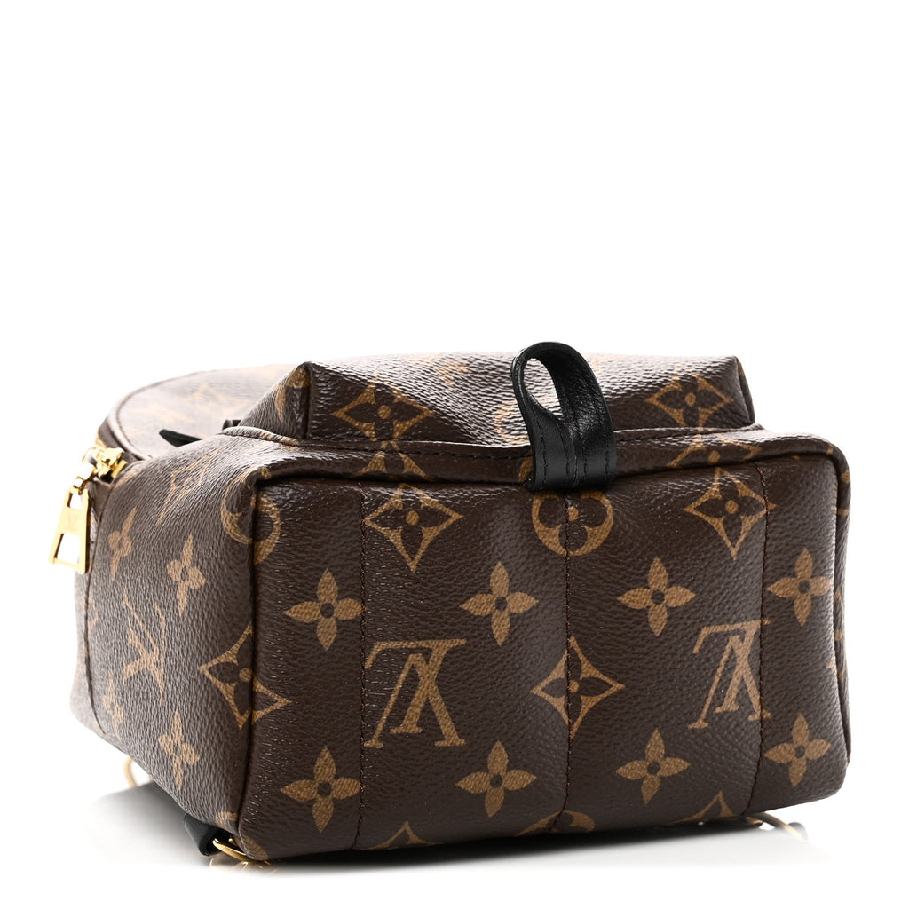 Louis Vuitton Monogram Palm Springs Backpack Mini
