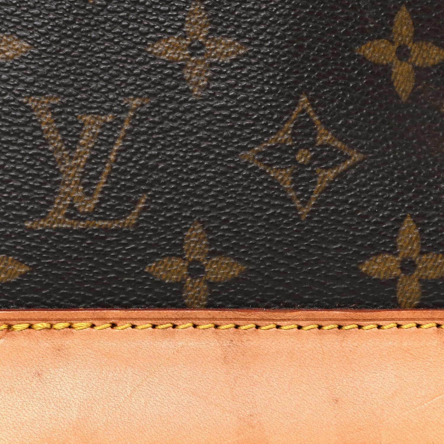 Louis Vuitton Monogram Alma PM
