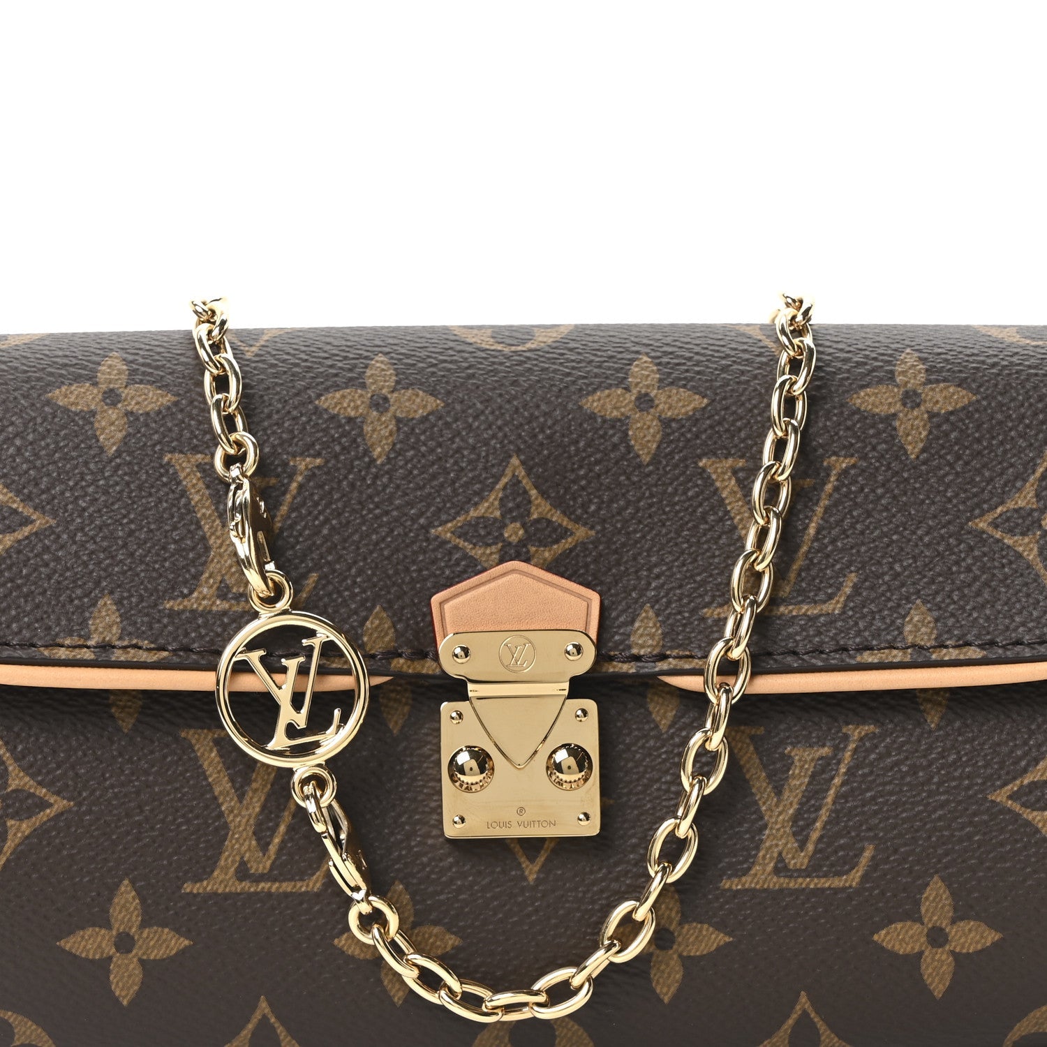 Louis Vuitton Monogram Pochette Camille