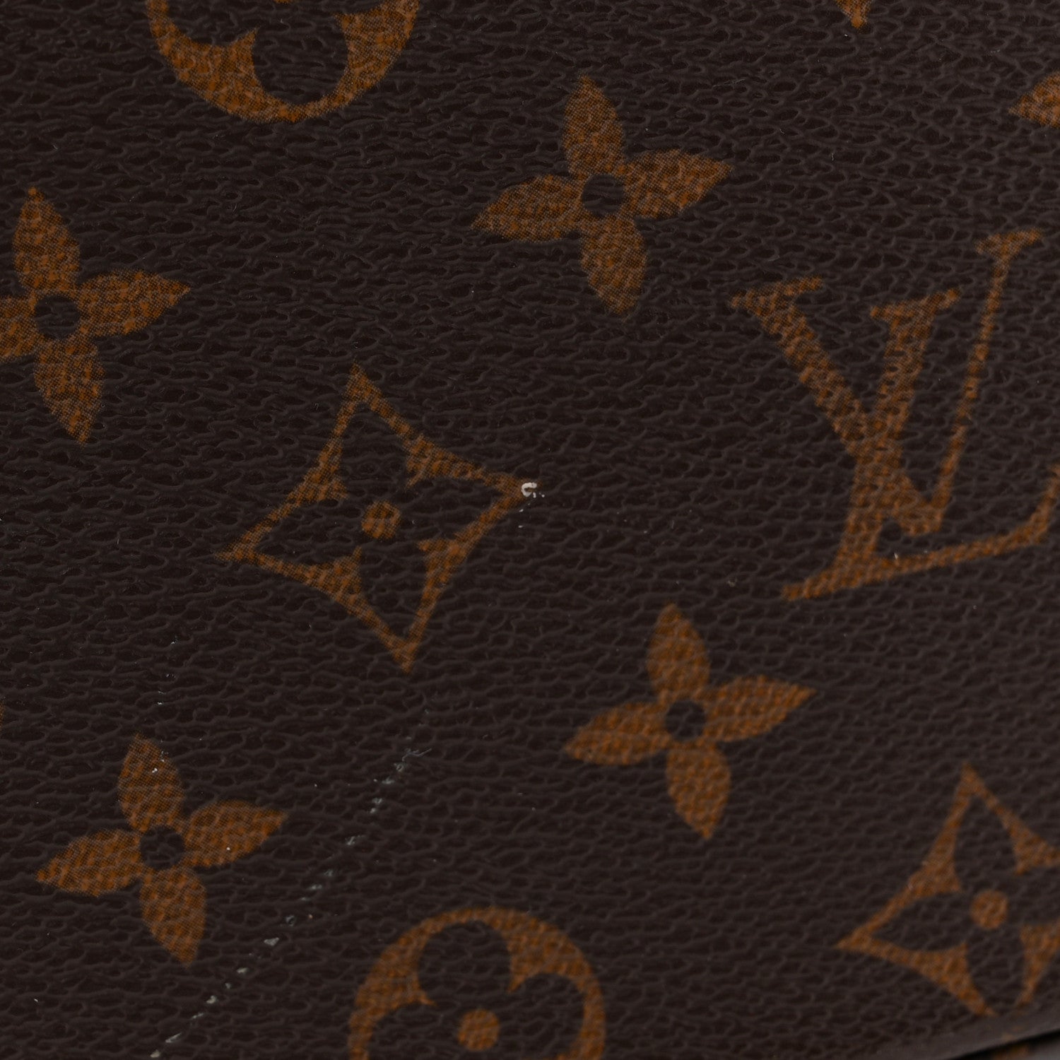 Louis Vuitton Monogram Vavin GM