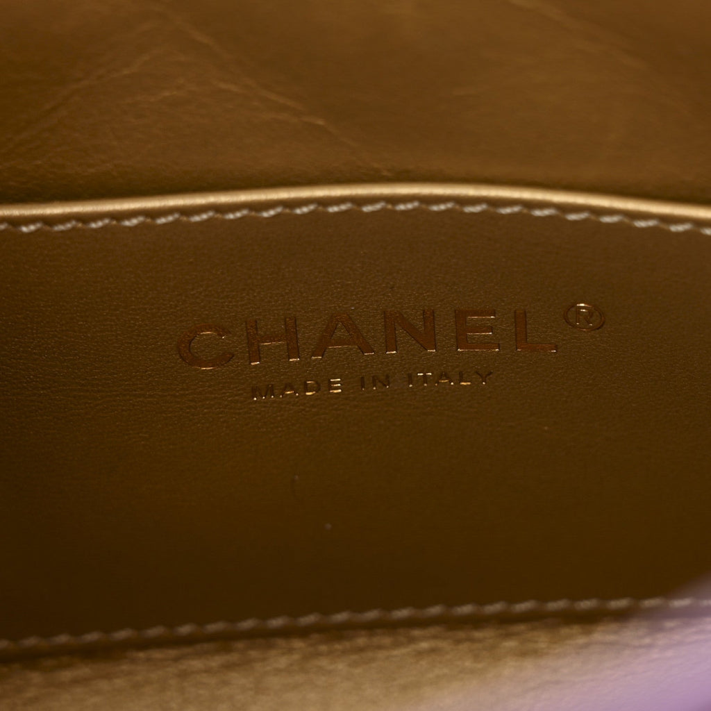 Chanel Lambskin Quilted Small Pearl Crush Hobo Purple