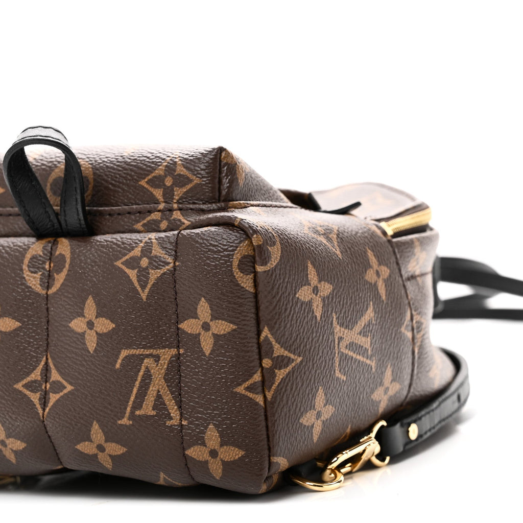 Louis Vuitton Monogram Palm Springs Backpack Mini