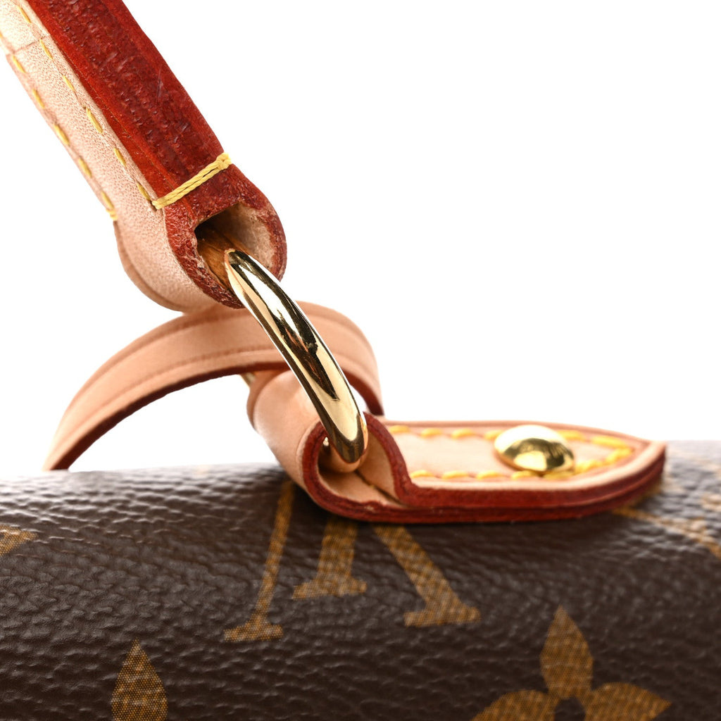 Louis Vuitton Monogram Cluny MM
