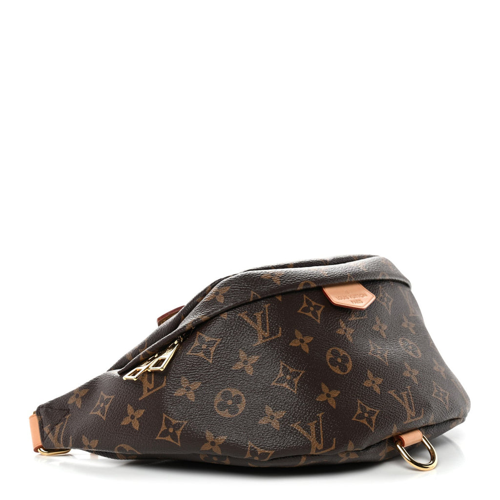 Louis Vuitton Monogram Bumbag