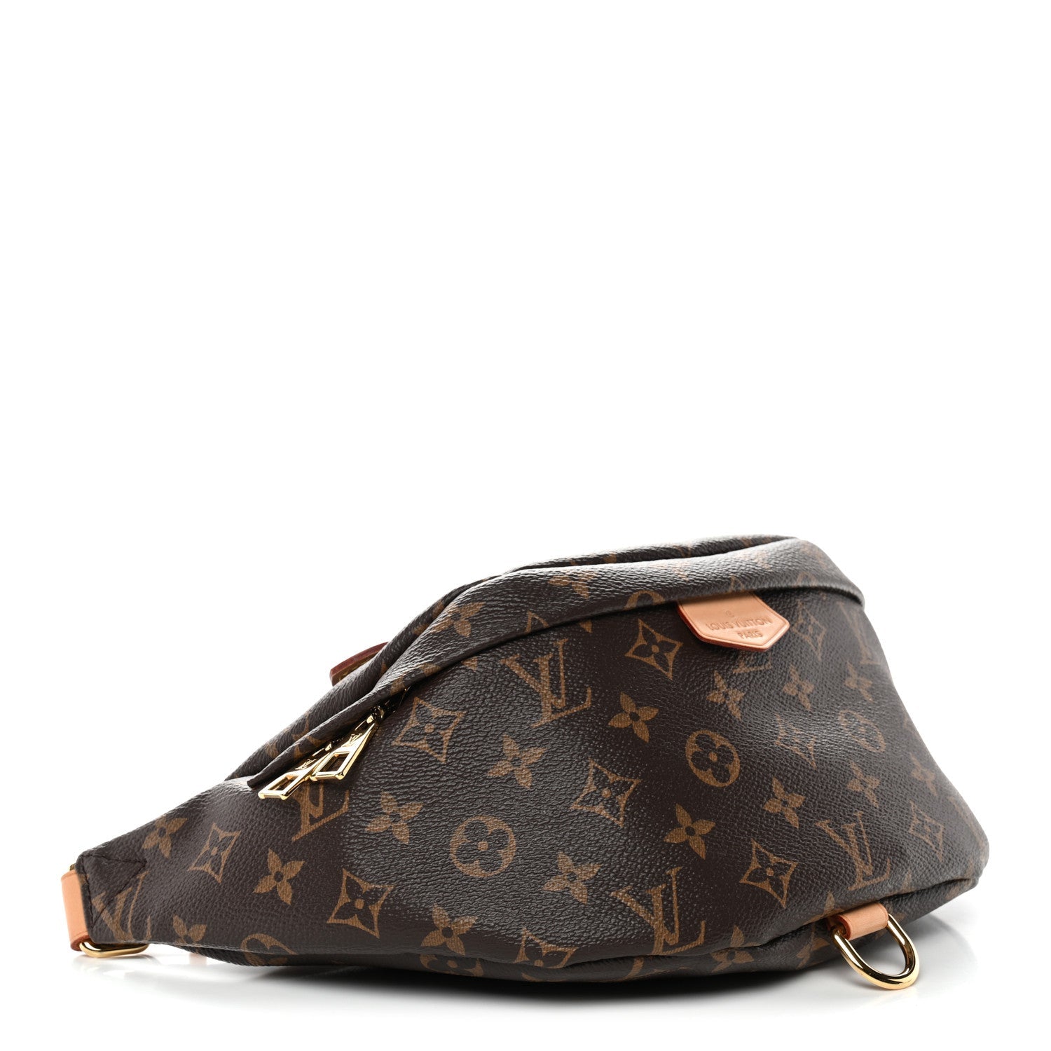 Louis Vuitton Monogram Bumbag