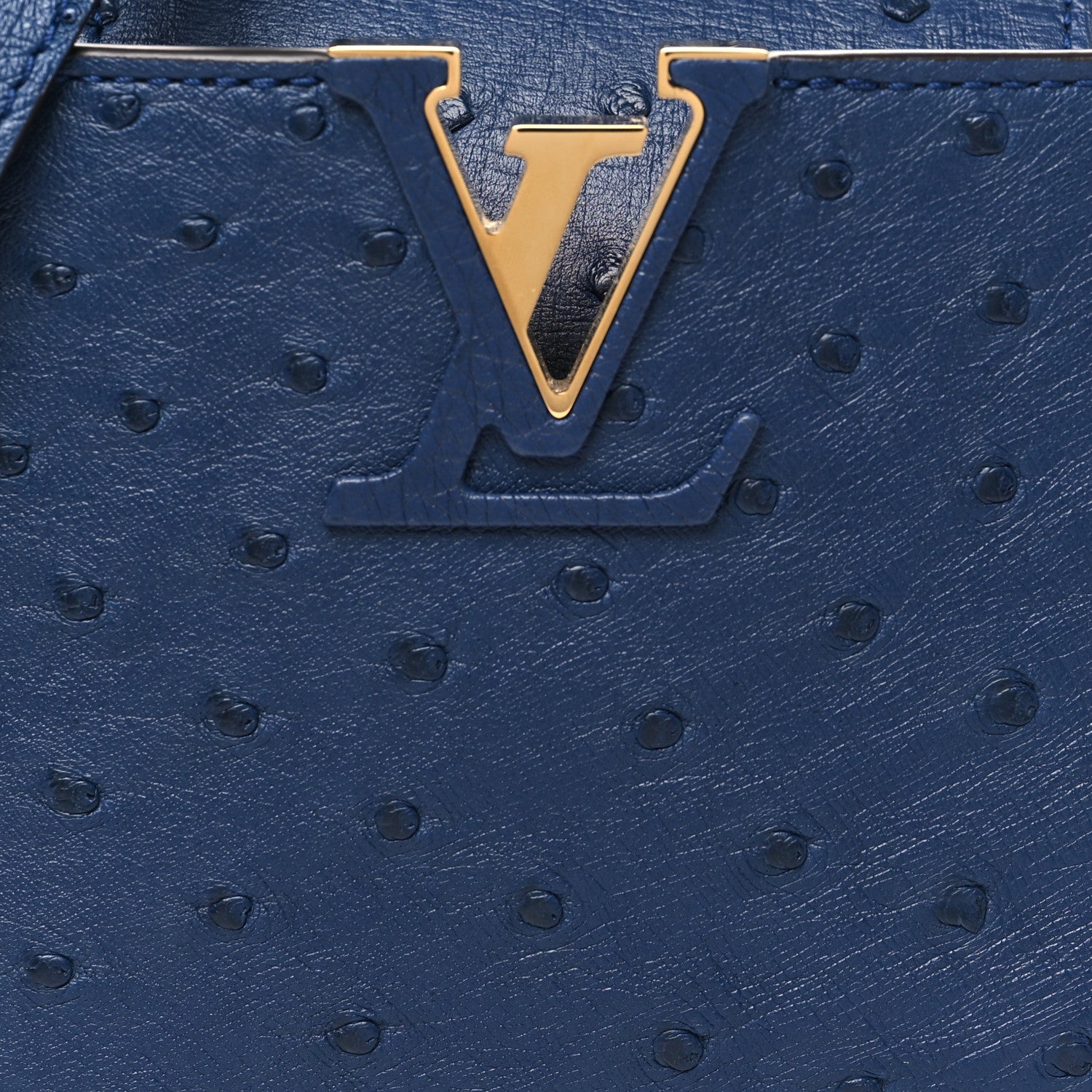 Louis Vuitton Ostrich Capucines Mini Indigo