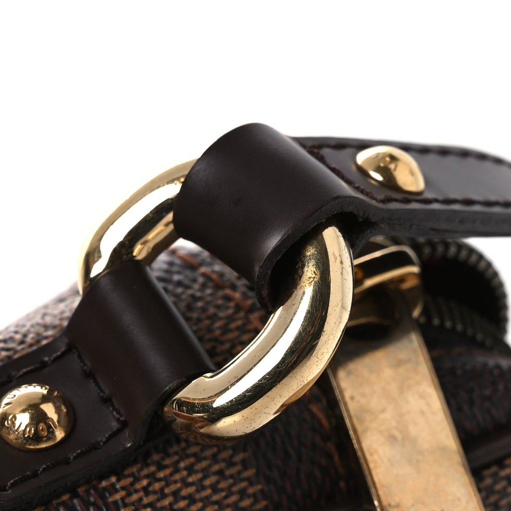 Louis Vuitton Damier Ebene Rift