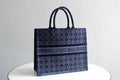 Dior Bags - 2496