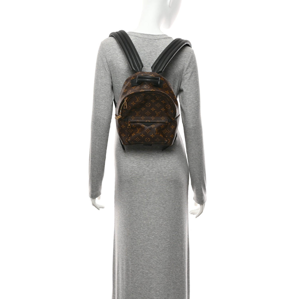 Louis Vuitton Monogram Palm Springs Backpack PM