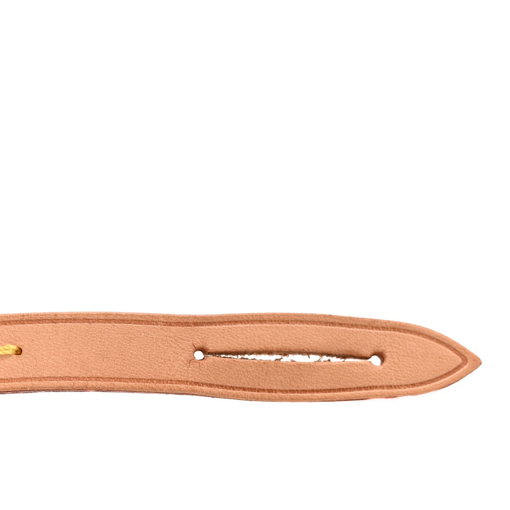 Louis Vuitton Vachetta Pochette Accessories Strap NM