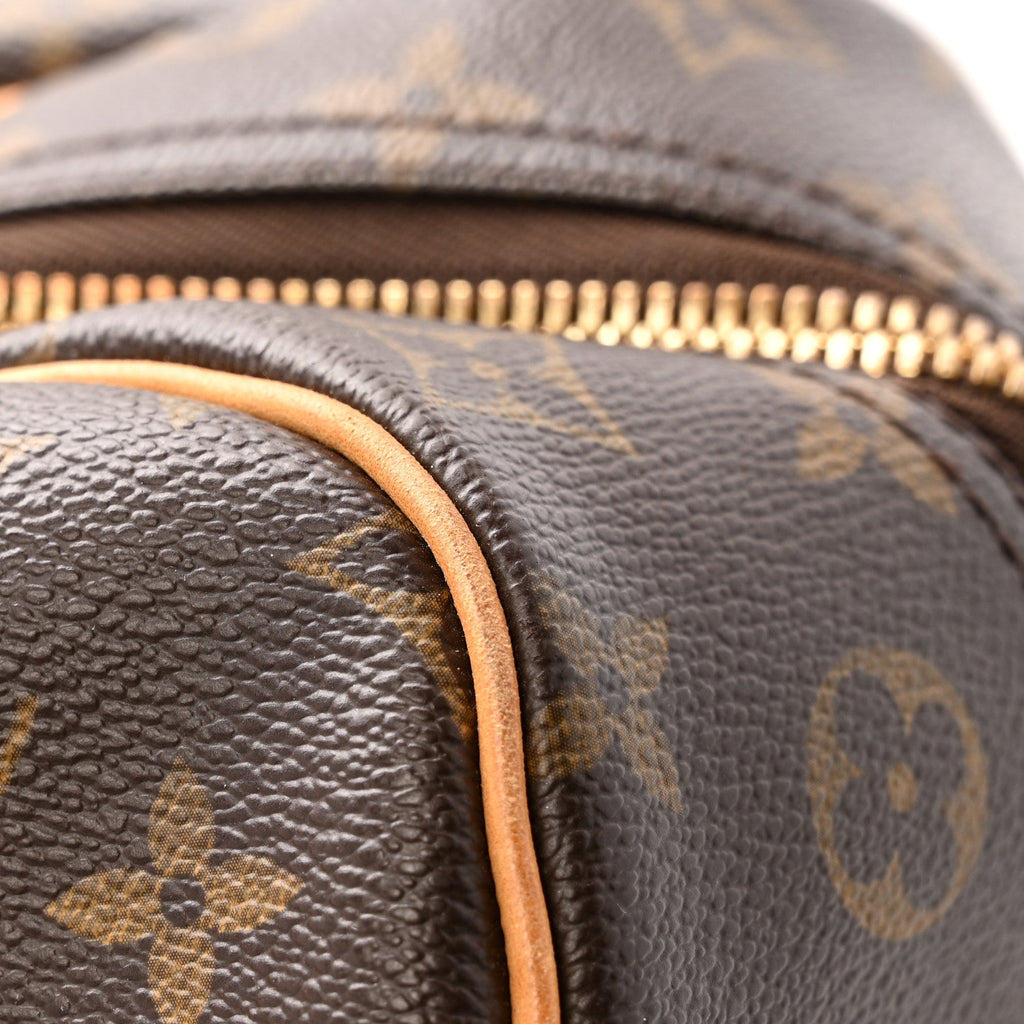 Louis Vuitton Monogram Carryall