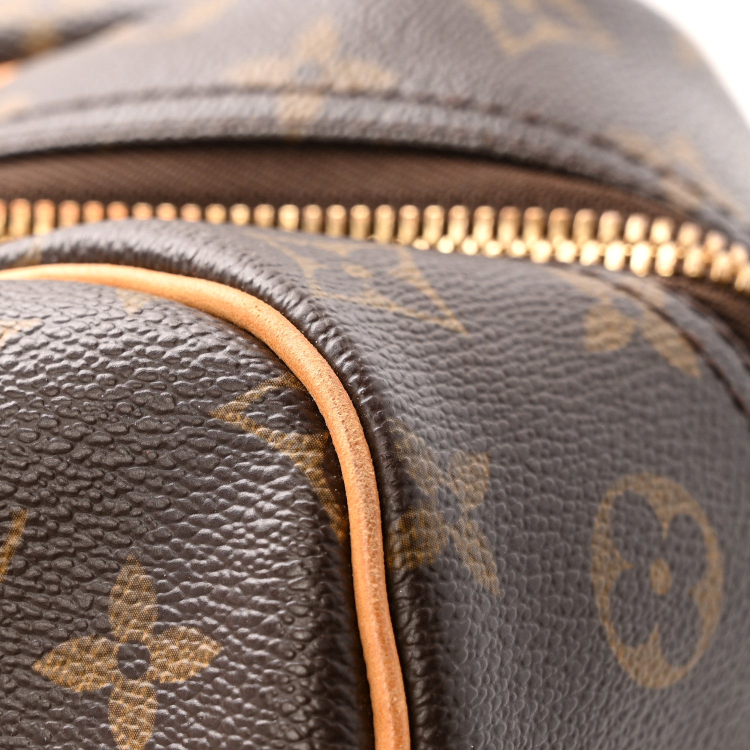 Louis Vuitton Monogram Carryall
