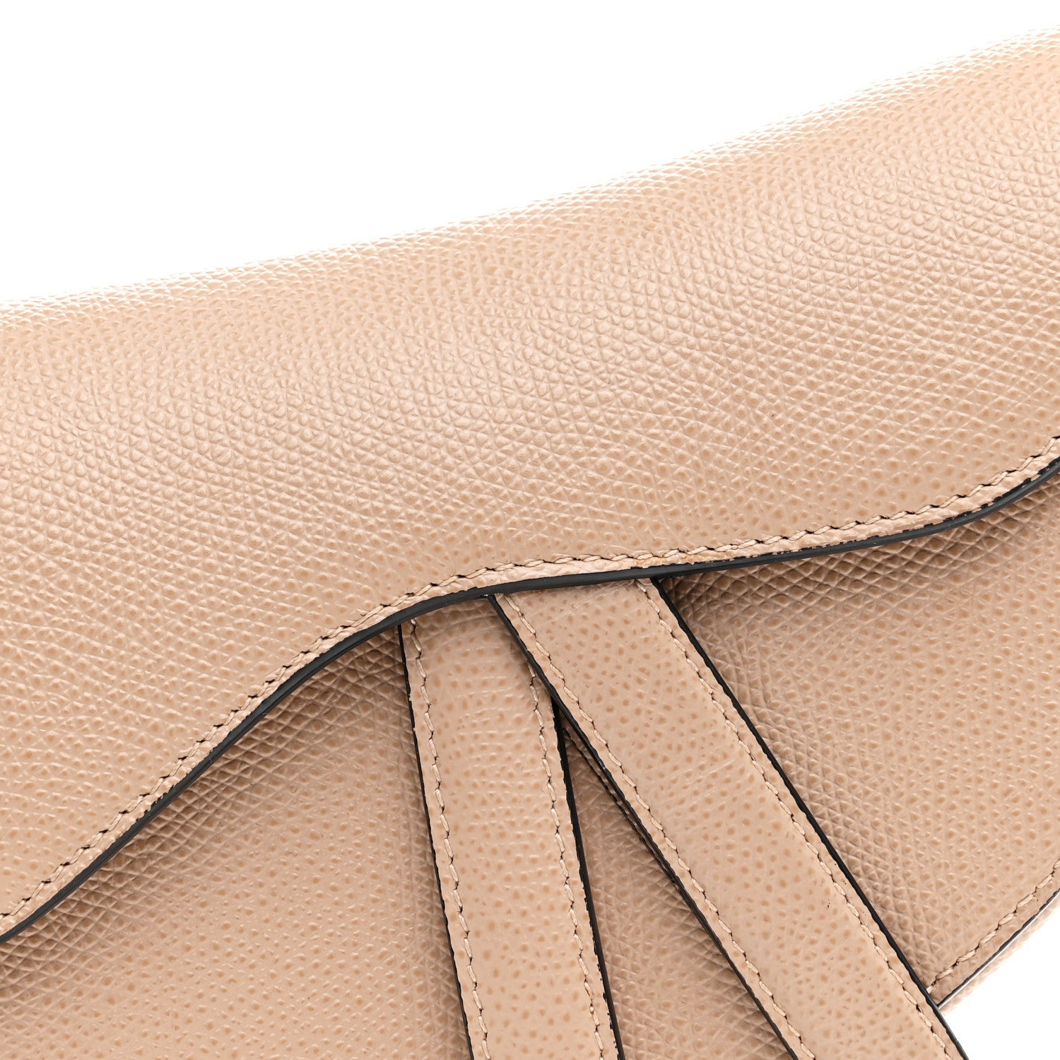 Christian Dior Grained Calfskin Mini Saddle Bag Fard