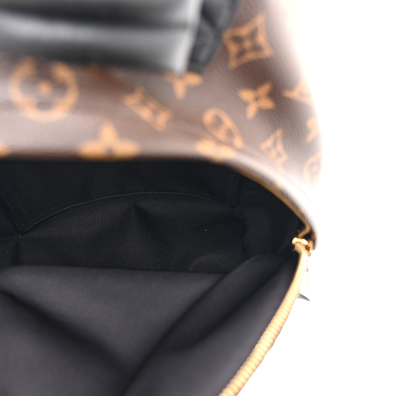 Louis Vuitton Monogram Palm Springs Backpack PM