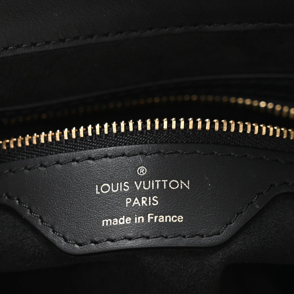 Louis Vuitton Reverse Monogram Twinny