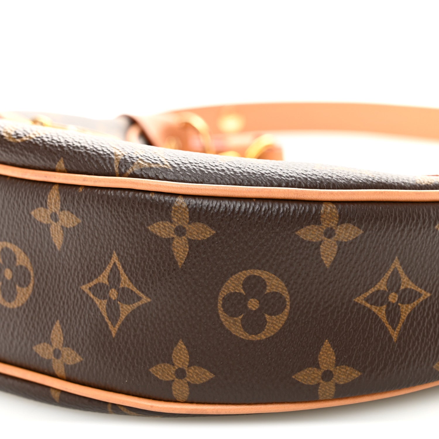 Louis Vuitton Monogram Loop