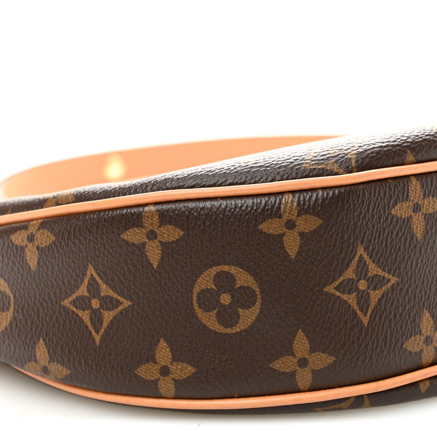 Louis Vuitton Monogram Loop