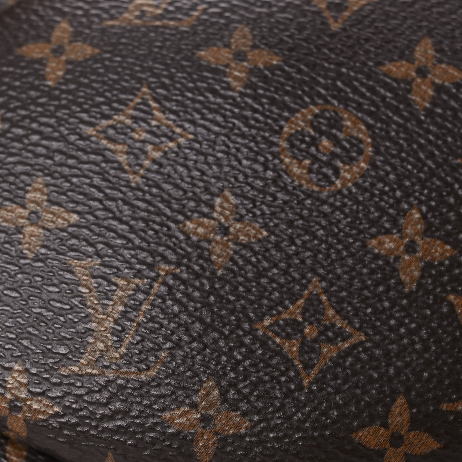 Louis Vuitton X NIGO Monogram Duck Bag