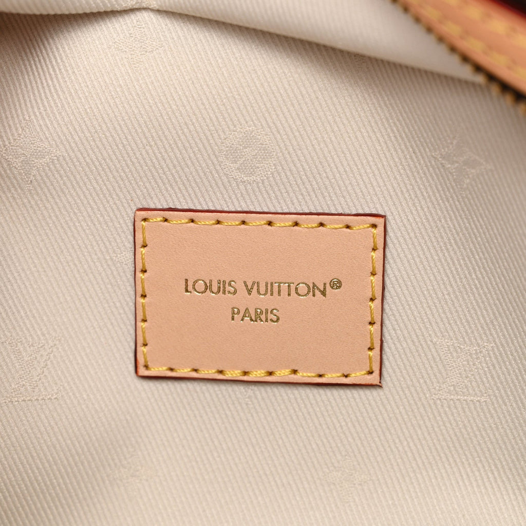 Louis Vuitton Monogram High Rise Bumbag