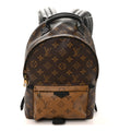 Louis Vuitton Reverse Monogram Palm Springs Backpack PM