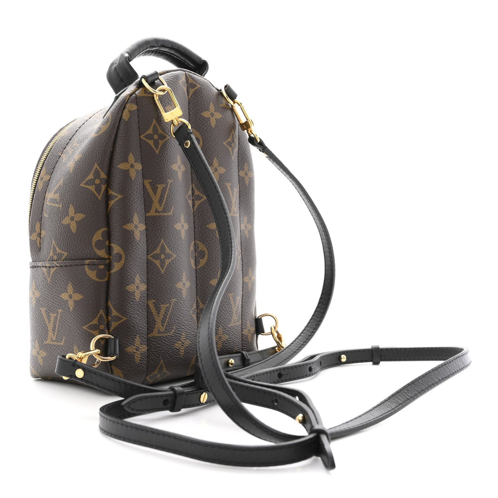 Louis Vuitton Monogram Palm Springs Backpack Mini