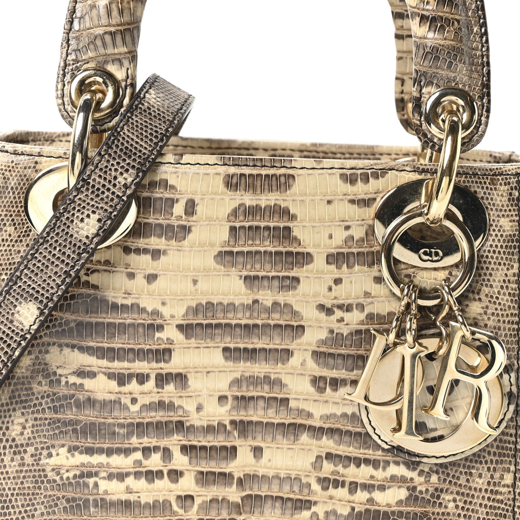 Christian Dior Lizard Ombre Mini Lady Dior