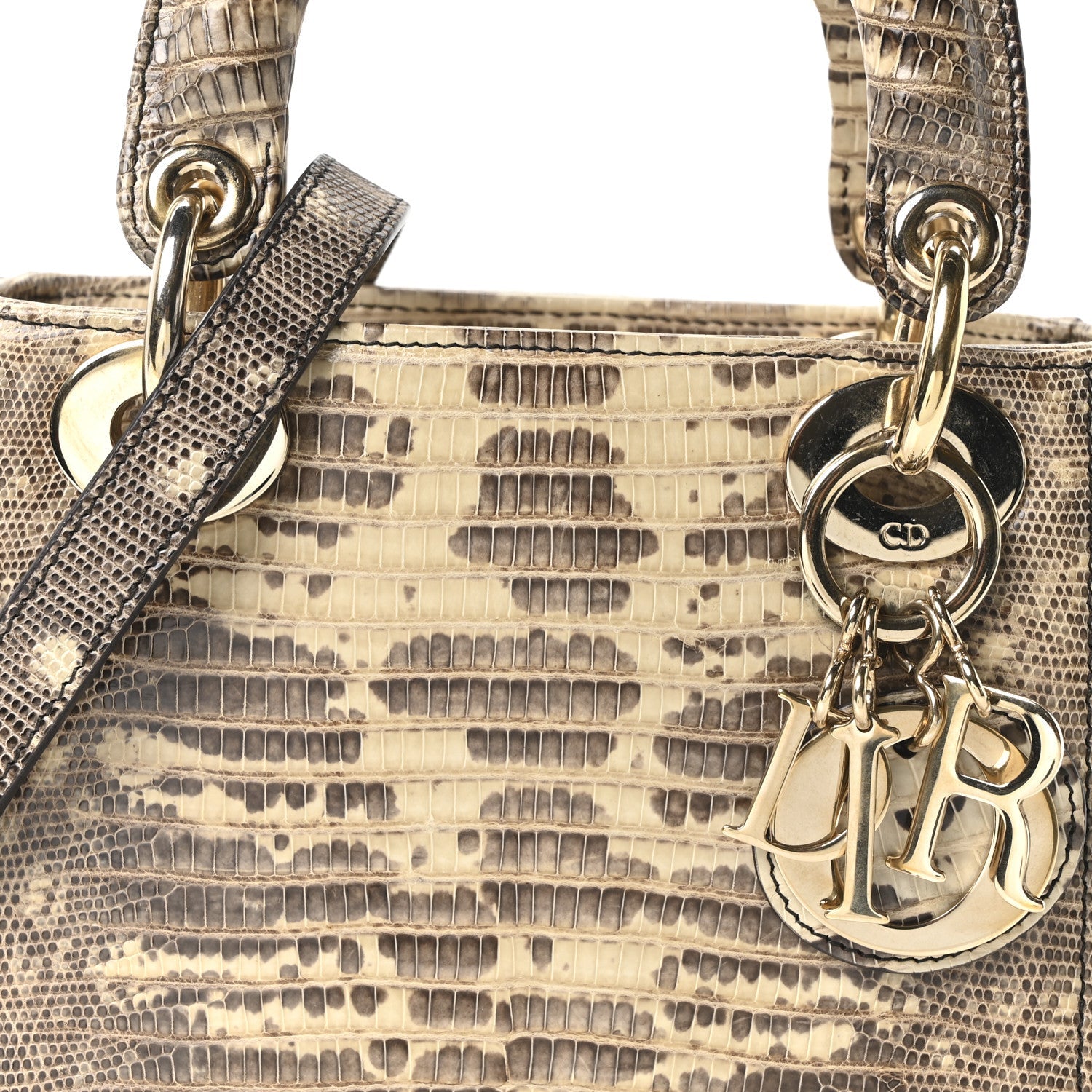 Christian Dior Lizard Ombre Mini Lady Dior