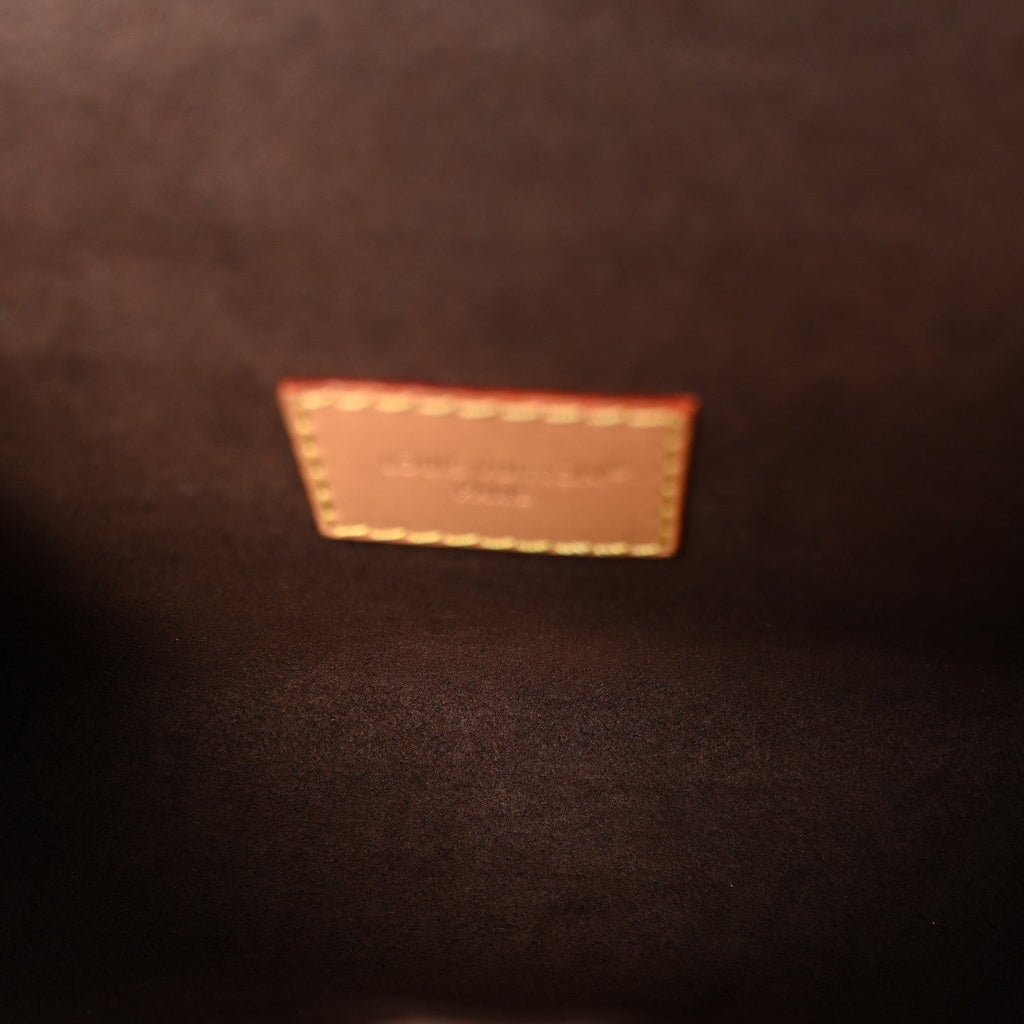 Louis Vuitton Monogram Pochette Camille